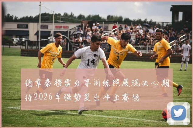 德章泰穆雷分享训练照展现决心期待2026年强势复出冲击赛场